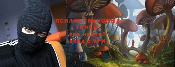 молекула духа Беломорск