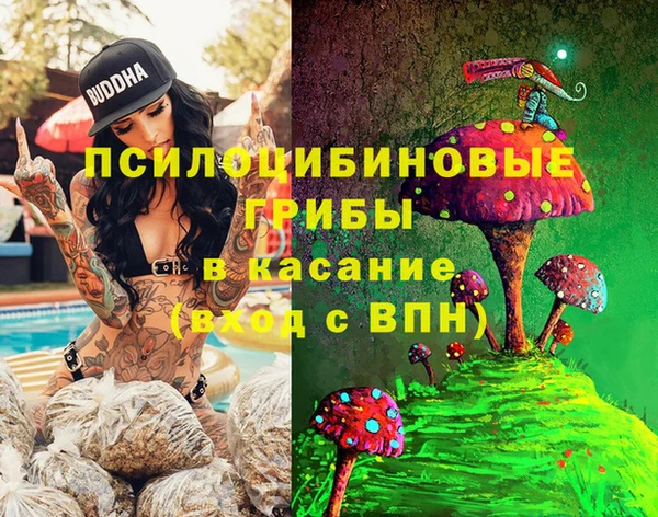 кокс Белокуриха