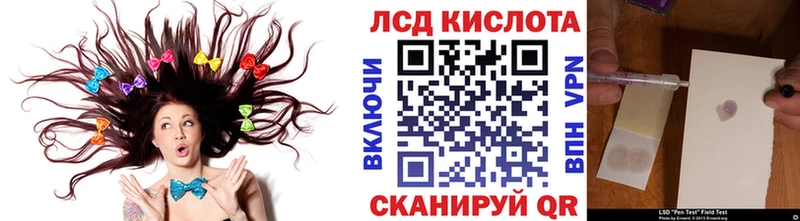 закладка  Болотное  Марки N-bome 1,5мг 