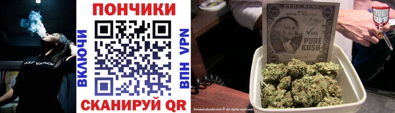 Конопля OG Kush  что такое   Болотное 